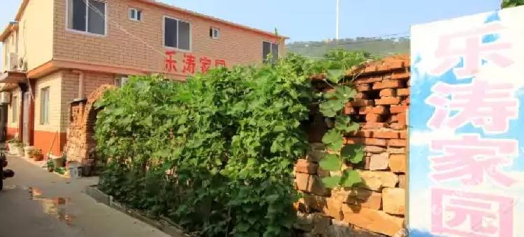 长岛乐涛家园渔家乐图片