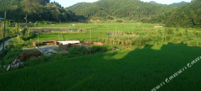 李坑村头农庄图片