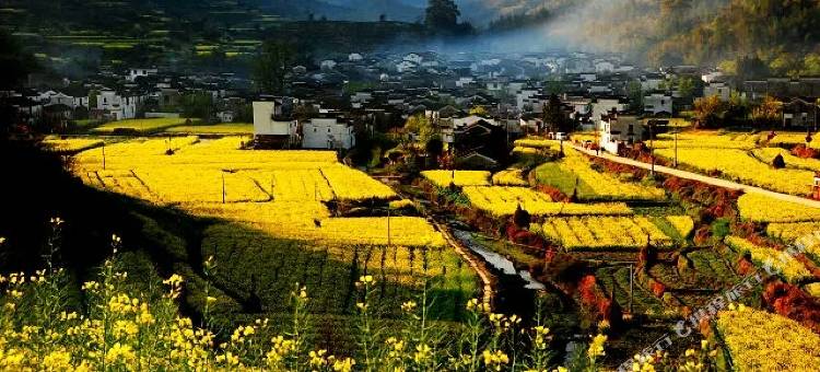 婺源庆源百寿图客栈图片