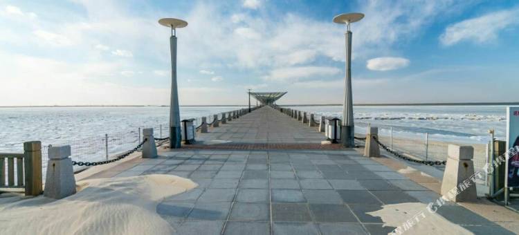 爱情公寓(营口山海广场店)图片