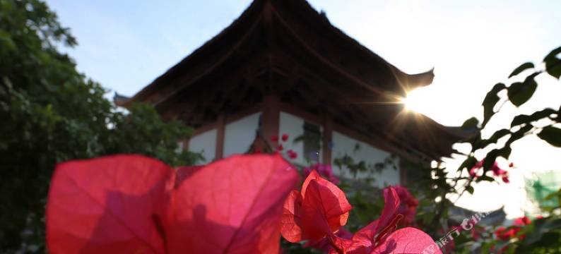 厦门右见海岸客栈图片