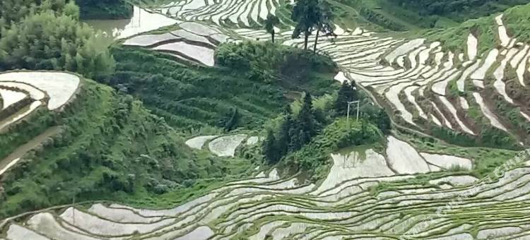拾光贰号客栈(丽水云和梯田景区店)图片
