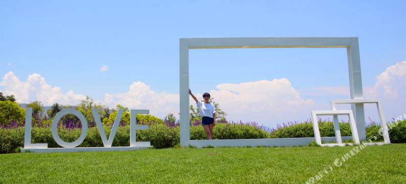 抚仙湖泊岸览湖酒店图片