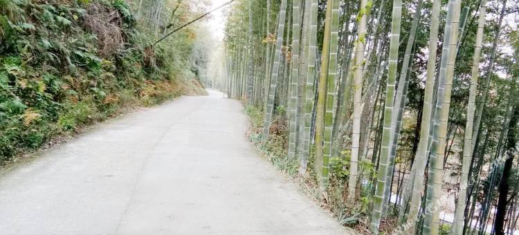 武功山二字头山庄图片