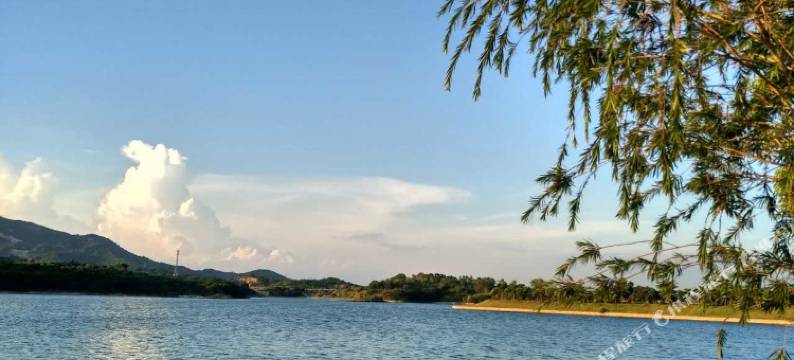 揭阳南方梅园望湖湖景房公寓图片