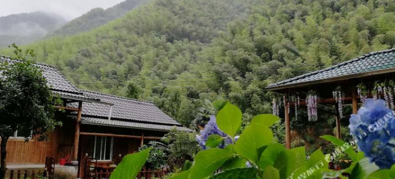 安吉花涧竹居民宿图片