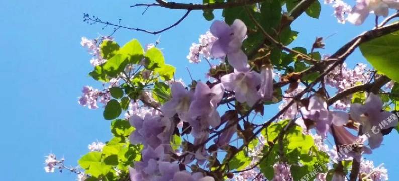 海阳宝龙度假酒店图片