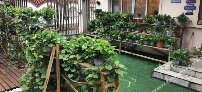 南京蒹葭印象青旅图片