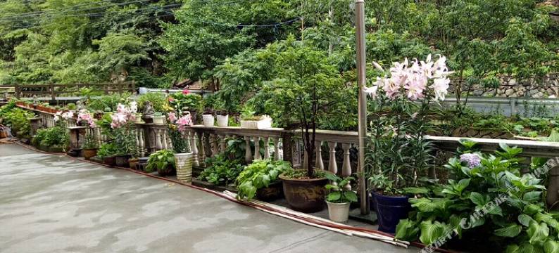 杭州龙缘山庄图片