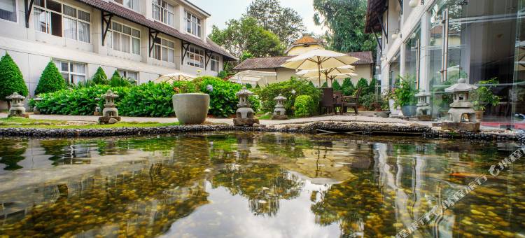 大叻曼青酒店(Muong Thanh Holiday Da Lat Hotel)图片