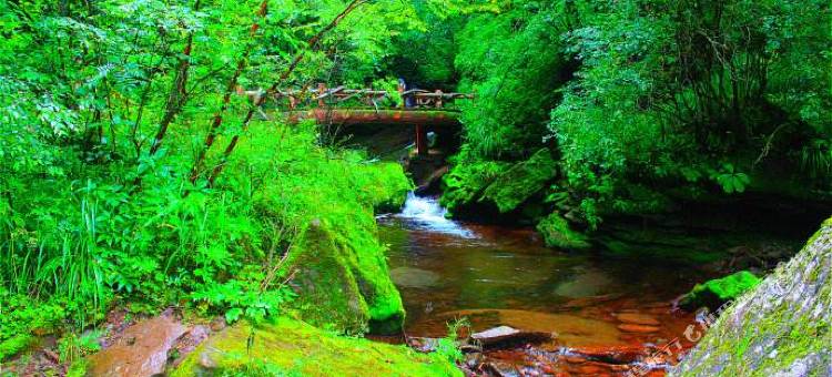 如家酒店(固原高平路市政府店)图片