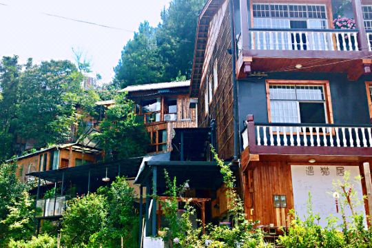 张家界遇猫居民宿