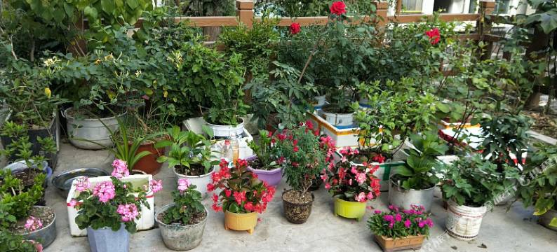 神农架宝捷家庭旅馆图片