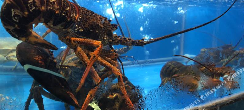 杭州碧海云天宾馆图片