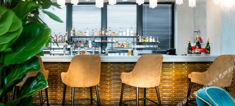 里昂安盟体育场科普斯特尔酒店(Kopster Hotel Lyon Groupama Stadium)图片