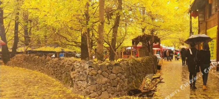 保山腾冲荷塘农家乐图片