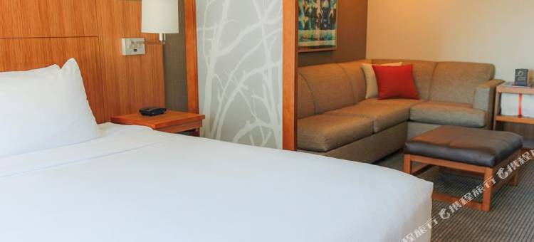 凯悦嘉轩酒店-芝加哥南大学医学中心(Hyatt Place Chicago-South/University Medical Center)图片