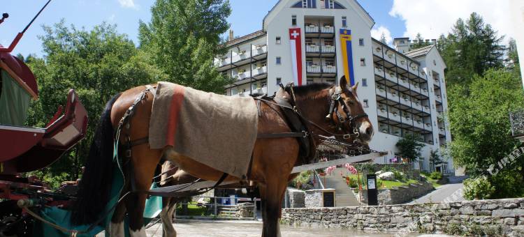 施维策霍夫西尔斯玛丽亚酒店，Faern精选酒店(Hotel Schweizerhof, Sils Maria, a Faern Collection Hotel)图片