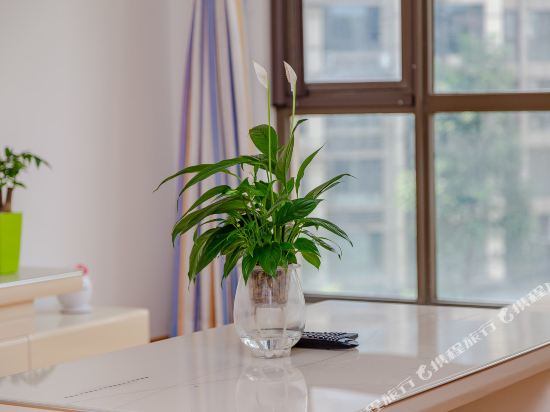 绵阳途掌柜102087精品民宿