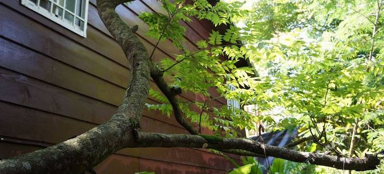 花莲在水一方湖畔小屋图片