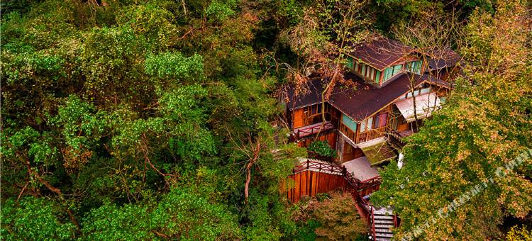 宁海森林温泉度假村图片