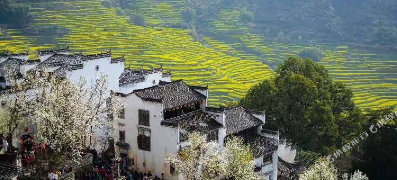 婺源李坑傍溪居客栈图片