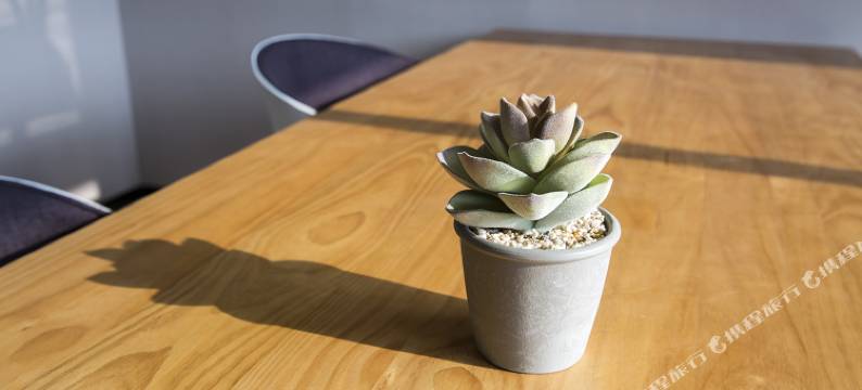 MAXACCOM锐思特逸致酒店(温州火车站梧田老街店)图片