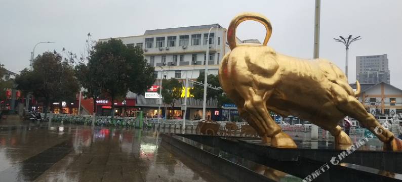 泗洪中心商务宾馆(富园广场店)图片