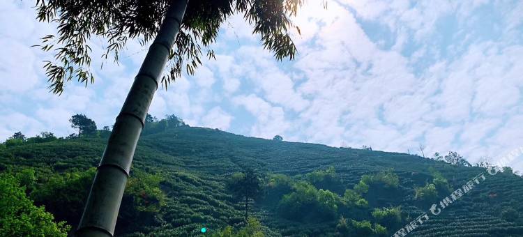 莫干山和蝉悠栖度假民宿图片