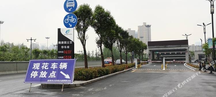 洛阳醉美卧室 隋唐植物园 洛阳博物馆公寓图片