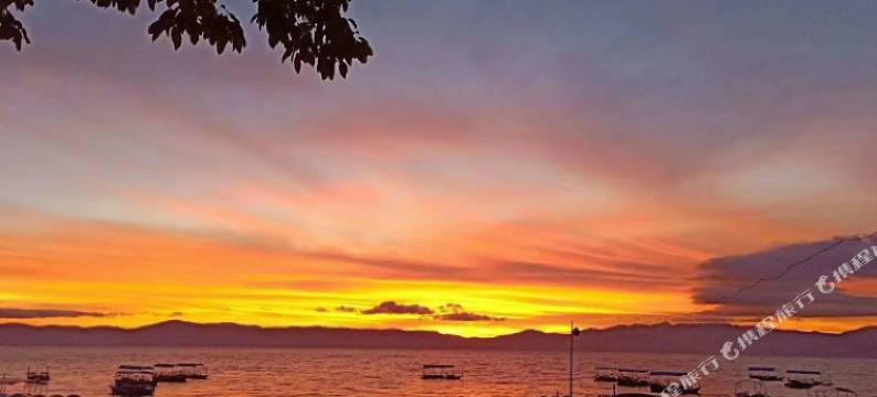 澄江壹排拾壹号民宿图片