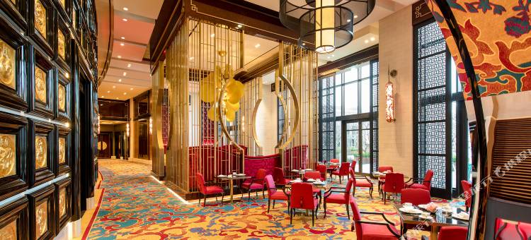 百乐达斯城(Paradise City)图片