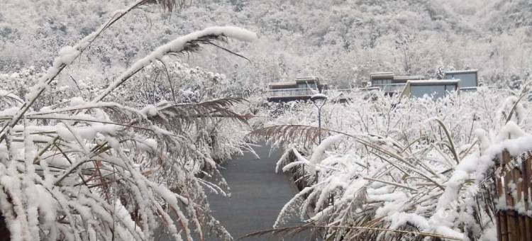 绵阳安驿箱几酒店图片