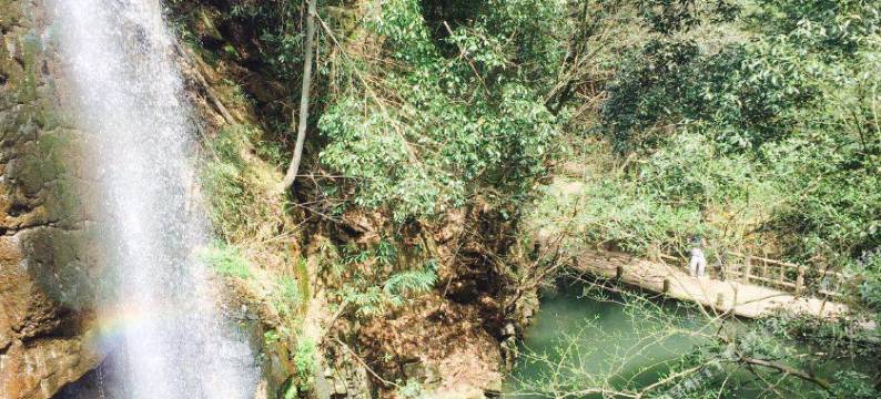 莫干山·栖山南苑度假屋图片