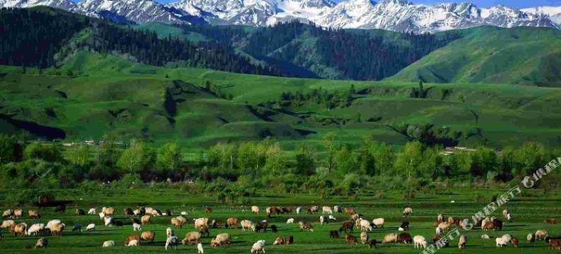 那拉提芳草园民宿图片