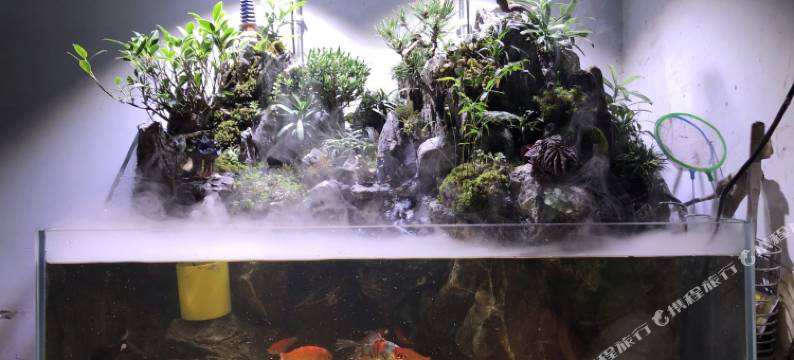 枣阳龙成宾馆(光武路店)图片