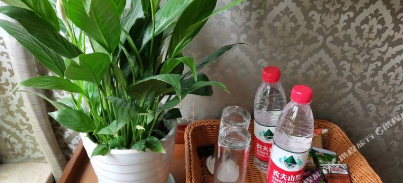 眉山柠檬树公寓(碧湖居南路北口分店)图片