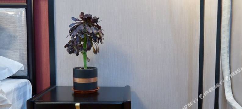 素识公寓(淄博2号店)图片