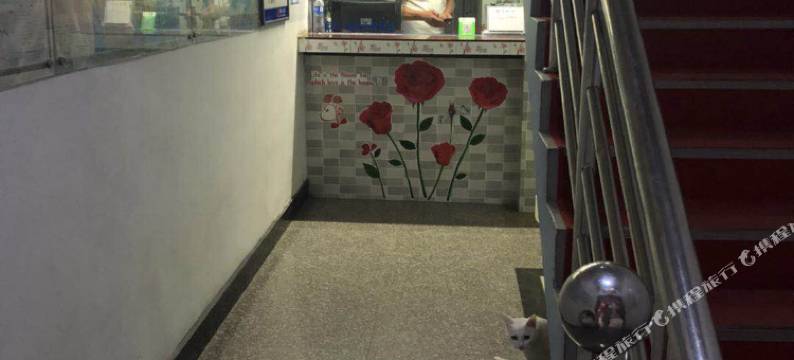 睢县蓝天宾馆图片