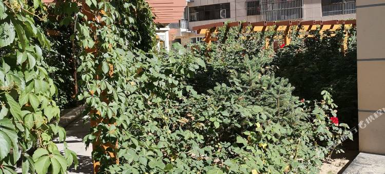 绥德亚华酒店图片