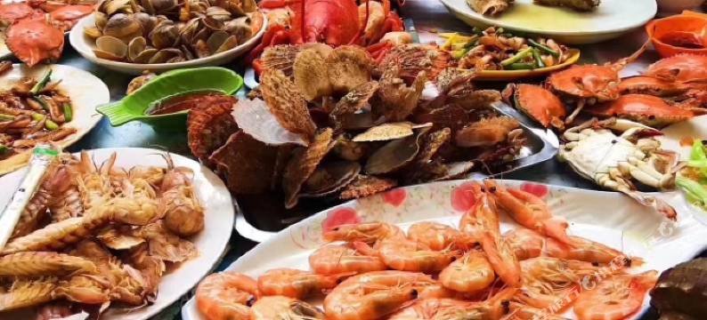 日照丽华渔家图片