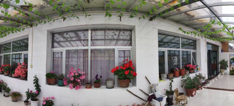 刚察清鑫农家院图片