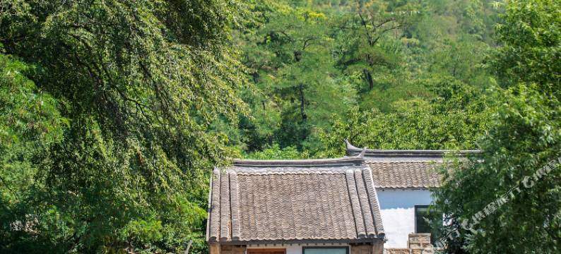 北京HiMaMa云端莲馨谷图片