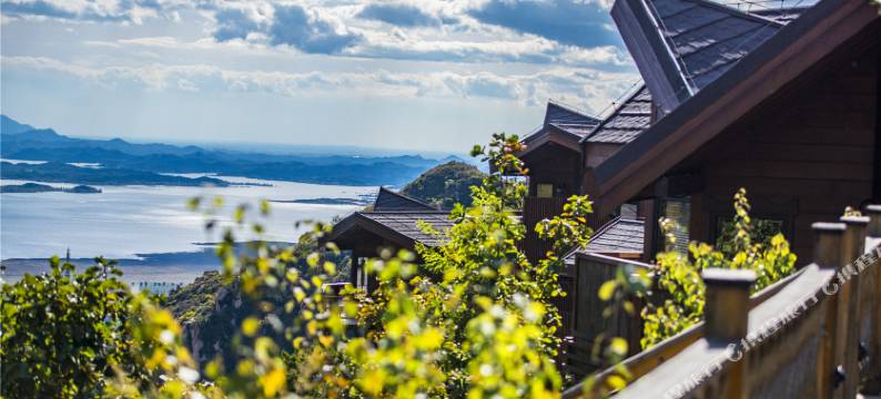 云峰山童话树屋图片