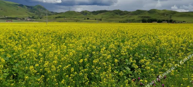 康定秋珠客栈图片
