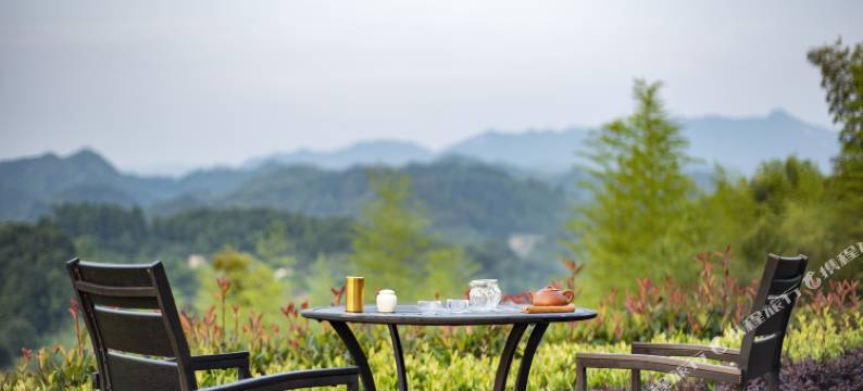 诸暨春风十里星空帐篷图片