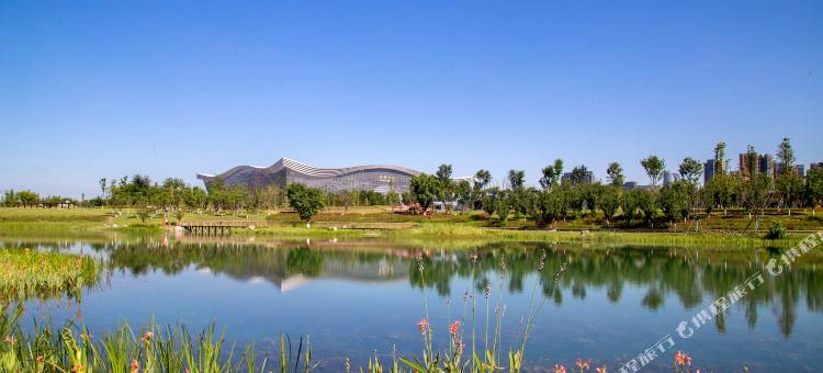 成都世纪城天堂洲际大饭店图片
