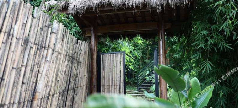 阆中野舍天下五龙民宿图片