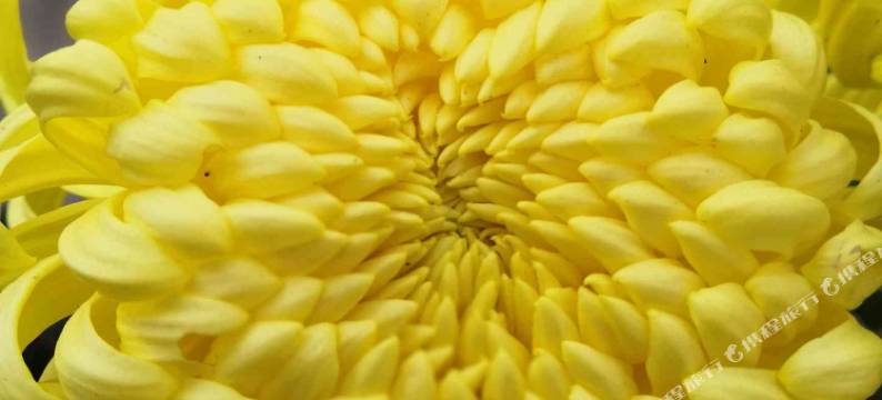 青城古镇赛福特农庄图片