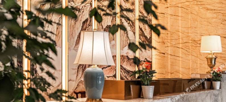 武汉经开南国际酒店图片